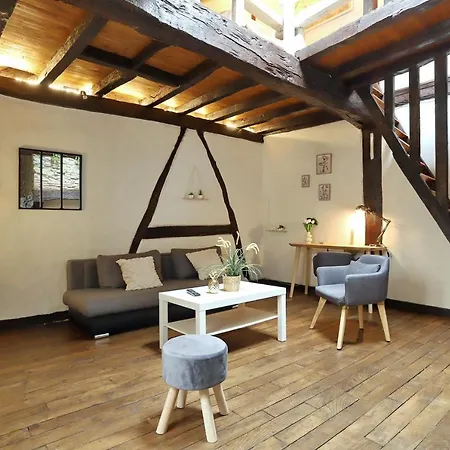 Le Petit Louis - Appt En Plein Centre Апартаменти *